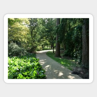 Garden path looks beautiful in sunlight Sticker